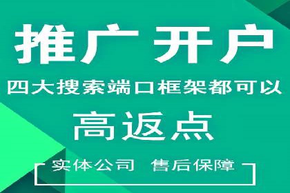 SEM托管服务，成功案例展示转化优势